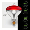 R40 250 watt clear head lamp magnetic reflective bulb, heat flood bulb, E26 standard medium screw base, 120V, 6,000 hours rated life, battery not included