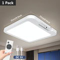 Indoor Ceiling Light, Color Adjustable Ceiling Light, Ceiling Lamp, Indoor Decorative Light