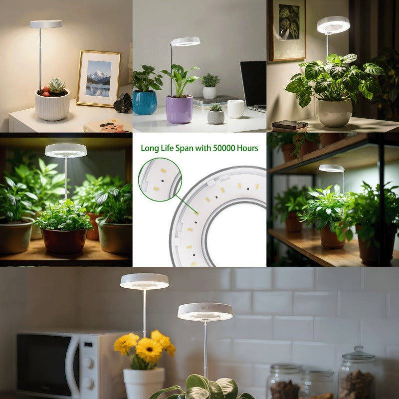 LED Plant Grow Light, Built-in 3/9/12 Hours Auto Timer and Dimmable Function, Height Adjustable. Perfect for indoor plants, herbs, vegetables and flowers in kitchen and home environments. USB Powered Adjustable Desk Lamp