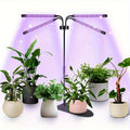 1-Pack Full Spectrum LED Plant Grow Light, 3/9/12H Timing Setting, Red Blue White 3 Light Modes, Adjustable Brightness 20%-100%, Sun Supplement Lamp for Indoor Small Plants & Mini Bonsai, Adapter Not Included