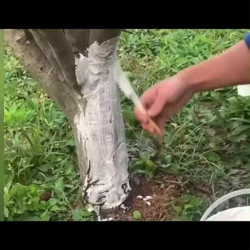 一袋氢氧化钙（熟石灰）用于树木粉刷保暖。它能形成保护膜，只需与水混合即可使用