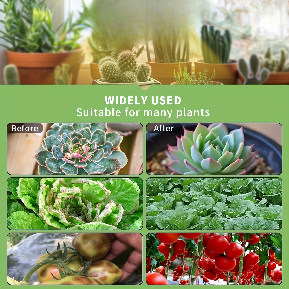 2/3-Piece Set LED Full Spectrum Plant Grow Light, Multiple Models Available, Suitable for Indoor Plants, Succulents, Hydroponics, Greenhouses, Gardens, Potted Plants, Vegetable & Fruit Nurseries and More Scenarios