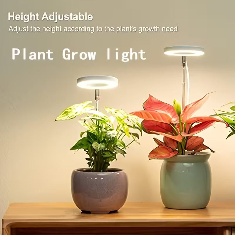 LED Plant Grow Light, Built-in 3/9/12 Hours Auto Timer and Dimmable Function, Height Adjustable. Perfect for indoor plants, herbs, vegetables and flowers in kitchen and home environments. USB Powered Adjustable Desk Lamp