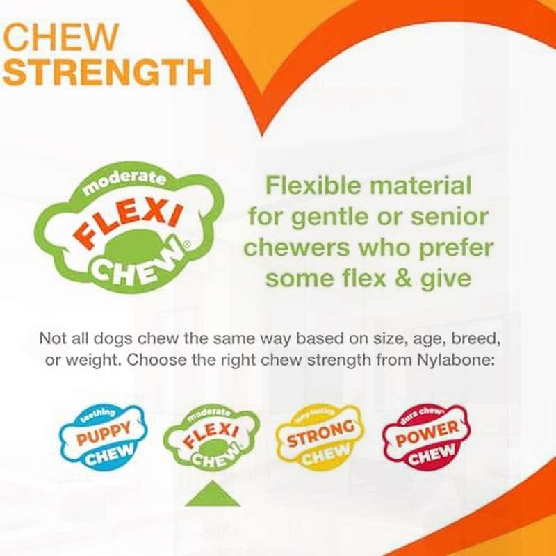 NYLABONE 牙齿健康 Flexichew 鸡肉双装，狼，单个，牙齿健康，宠物牙科护理，狼设计，双装咀嚼，宠物安全材质，耐用咀嚼，狗狗咀嚼，狗狗咀嚼棒