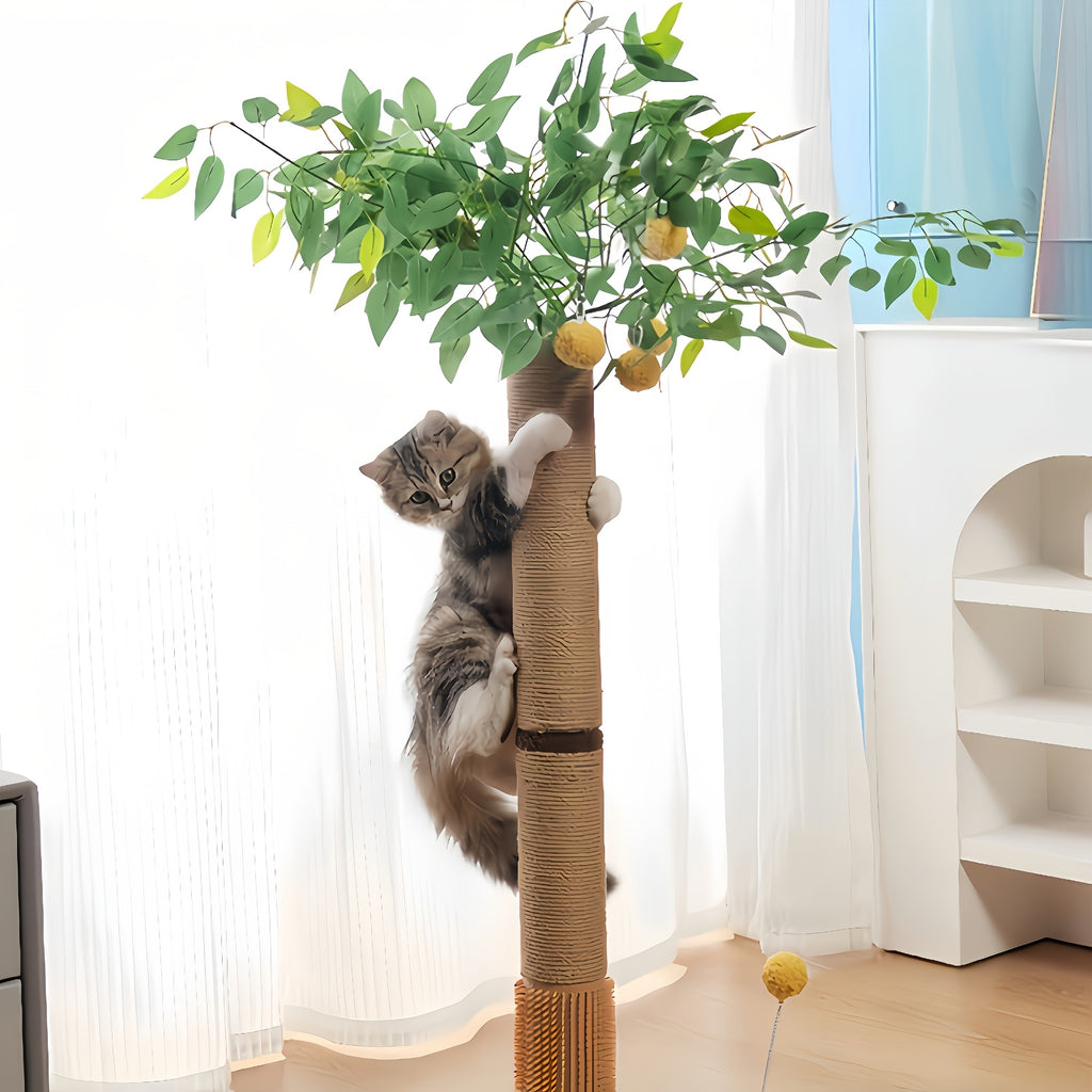猫咪多功能攀爬柱攀爬树多功能攀爬玩具，磨爪子，蹭痒止痒抓痒，宠物玩具溜溜球猫抓板猫咪玩具用品一体化，摆设美观