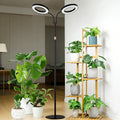 Indoor Floor Plant Grow Light, Full Spectrum Plant Light with 68 Inch (Approx. 172.7cm) Stand, Suitable for Large Tall Plants, White Halo Grow Light with 6/12/16H Timer, 3 Light Modes & 5 Dimming Levels
