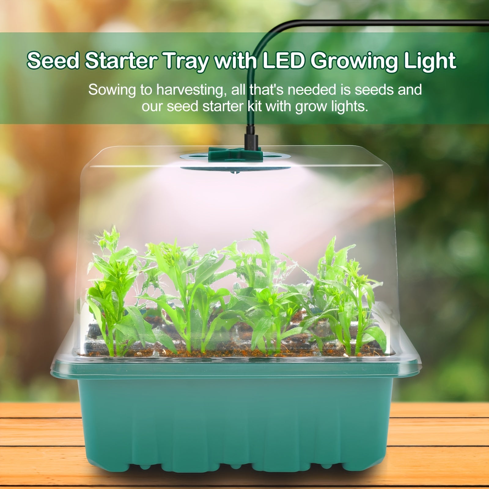 6-Piece Seed Germination Tray Set, Seed Starter Kit with Grow Light, Nursery Tray with Humidity Dome, 3.9 Inch Tall Lid with Drain Holes, Ideal Indoor Spring Vegetable & Fruit Seedling Device, 12 Cells Per Tray