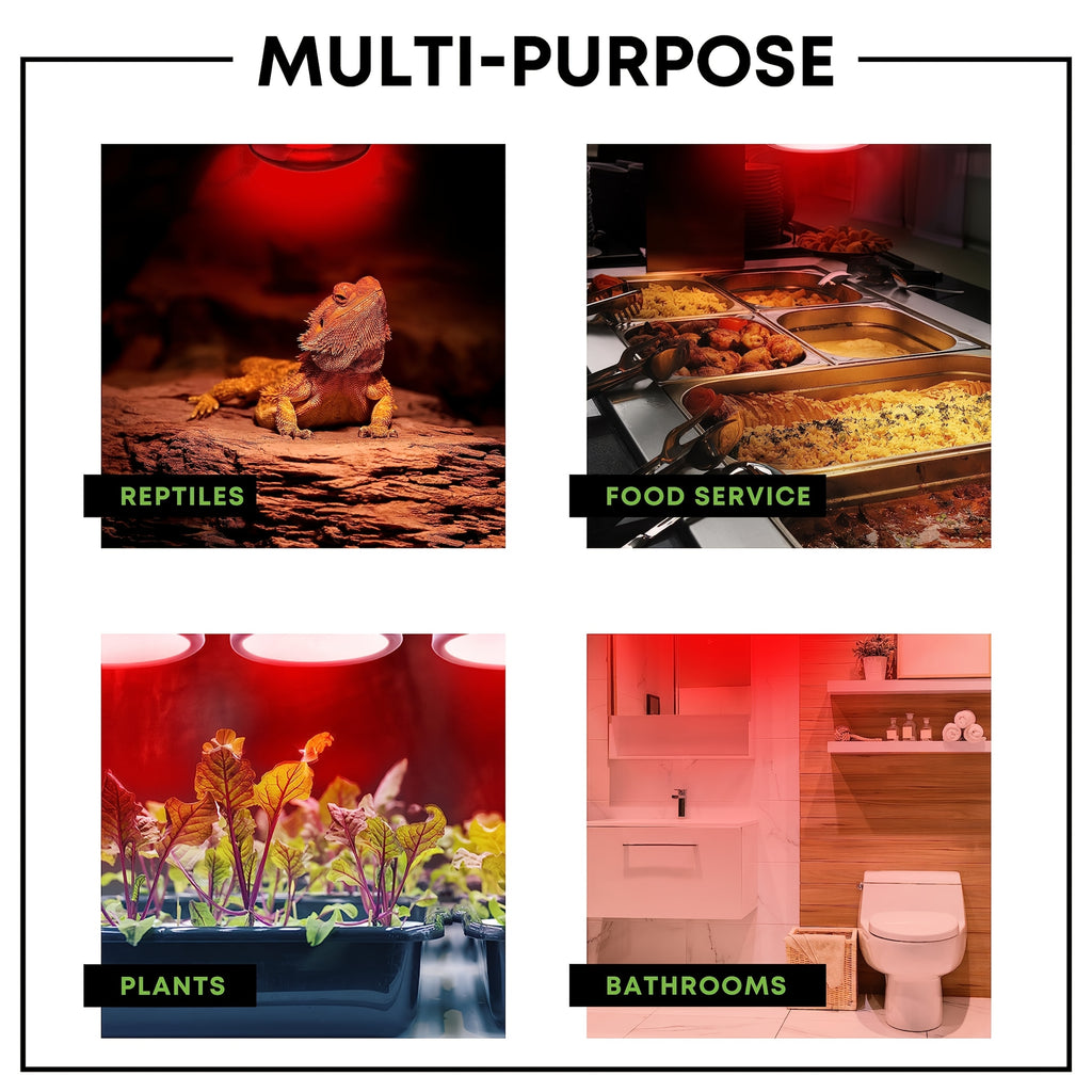 R40 250 watt clear head lamp magnetic reflective bulb, heat flood bulb, E26 standard medium screw base, 120V, 6,000 hours rated life, battery not included
