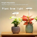 1个装 全光谱 LED 植物生长灯，适用于室内植物，高度可调节，带自动定时器和4种亮度级别可调光 - 低电压操作（低于36V）植物灯，适用于迷你盆景、香草、多肉植物、幼苗