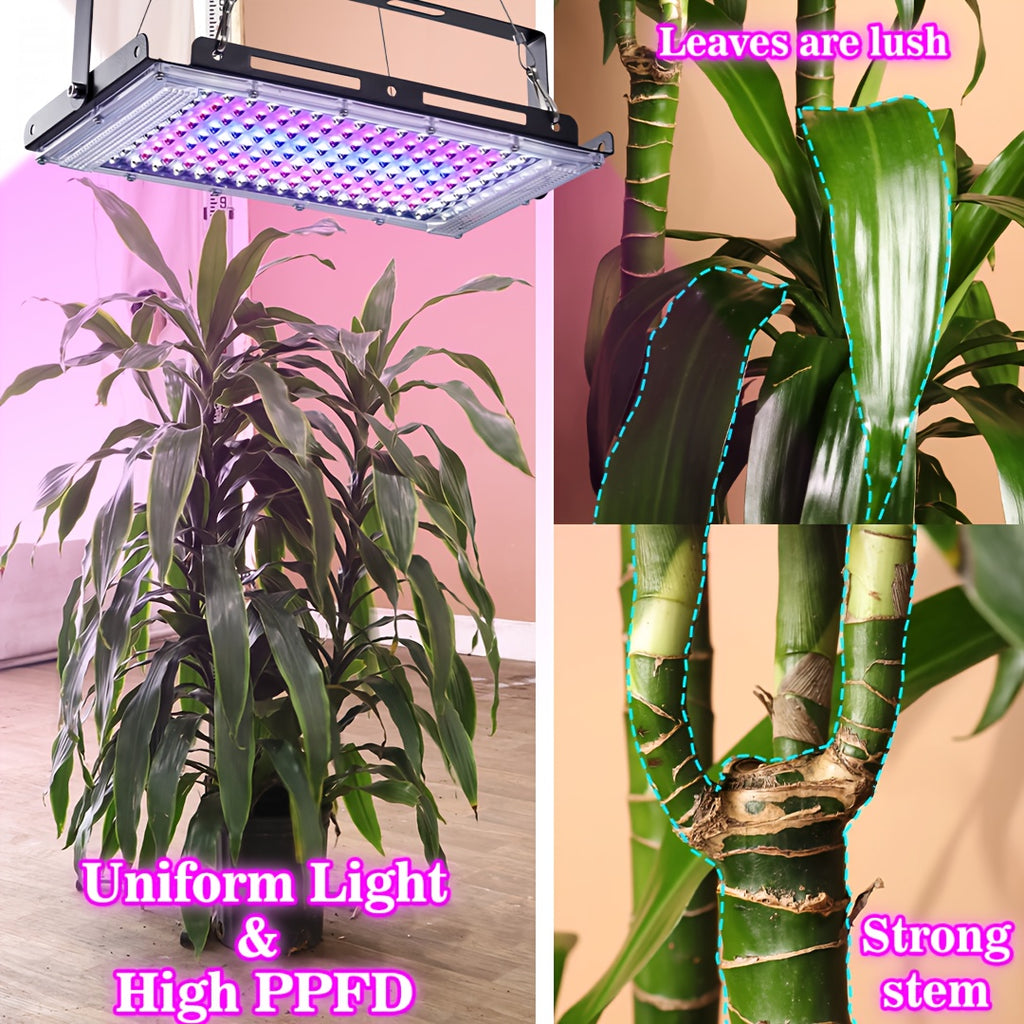 Desktop Indoor Plant Grow Light, 144 LED Full Spectrum Grow Lamp, Large Size Adjustable Height Flexible Gooseneck Plant Light