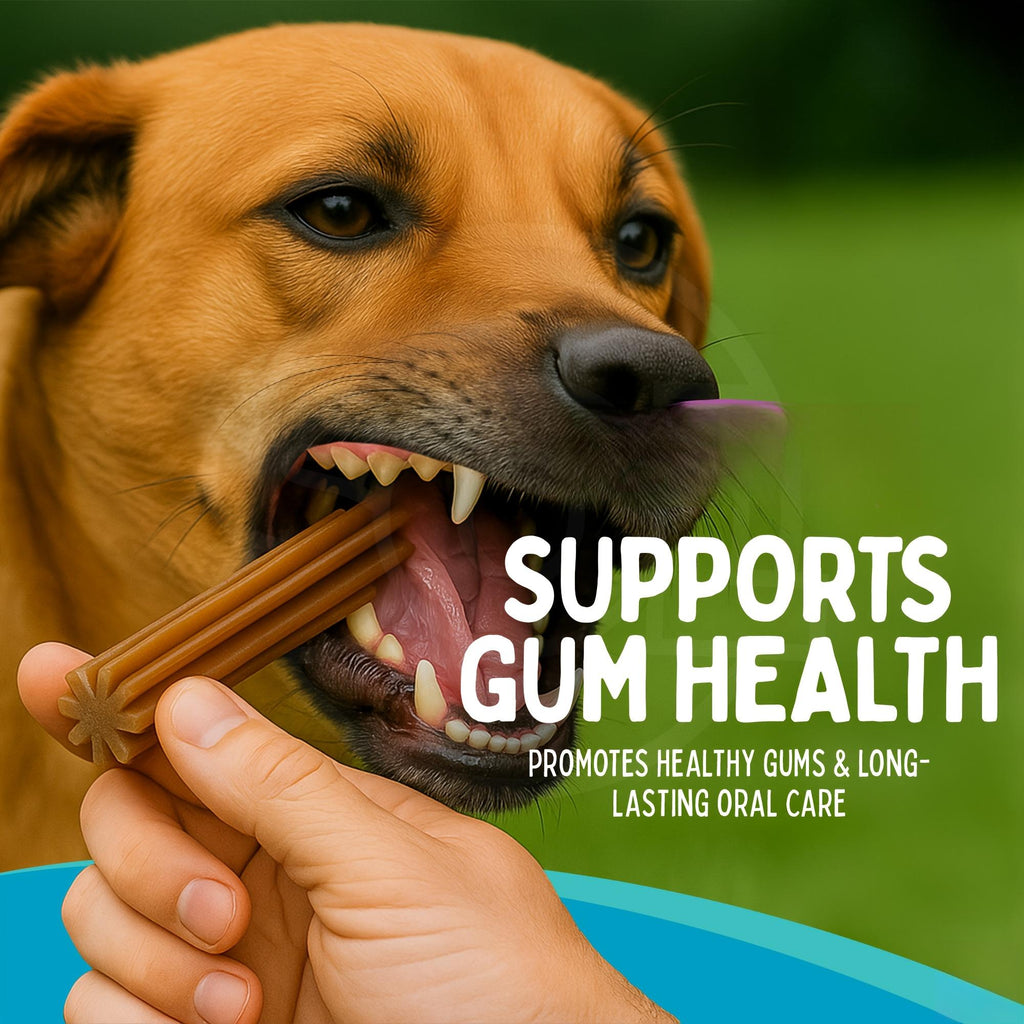 犬用口腔清洁棒玩具，适用于小型、中型及大型犬种日常牙齿清洁的玩具，适合生日/节日礼物
