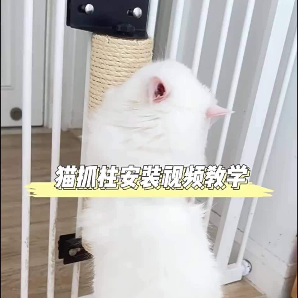 剑麻猫抓柱，适用于猫笼，耐用猫抓塔，室内猫树及幼猫玩具