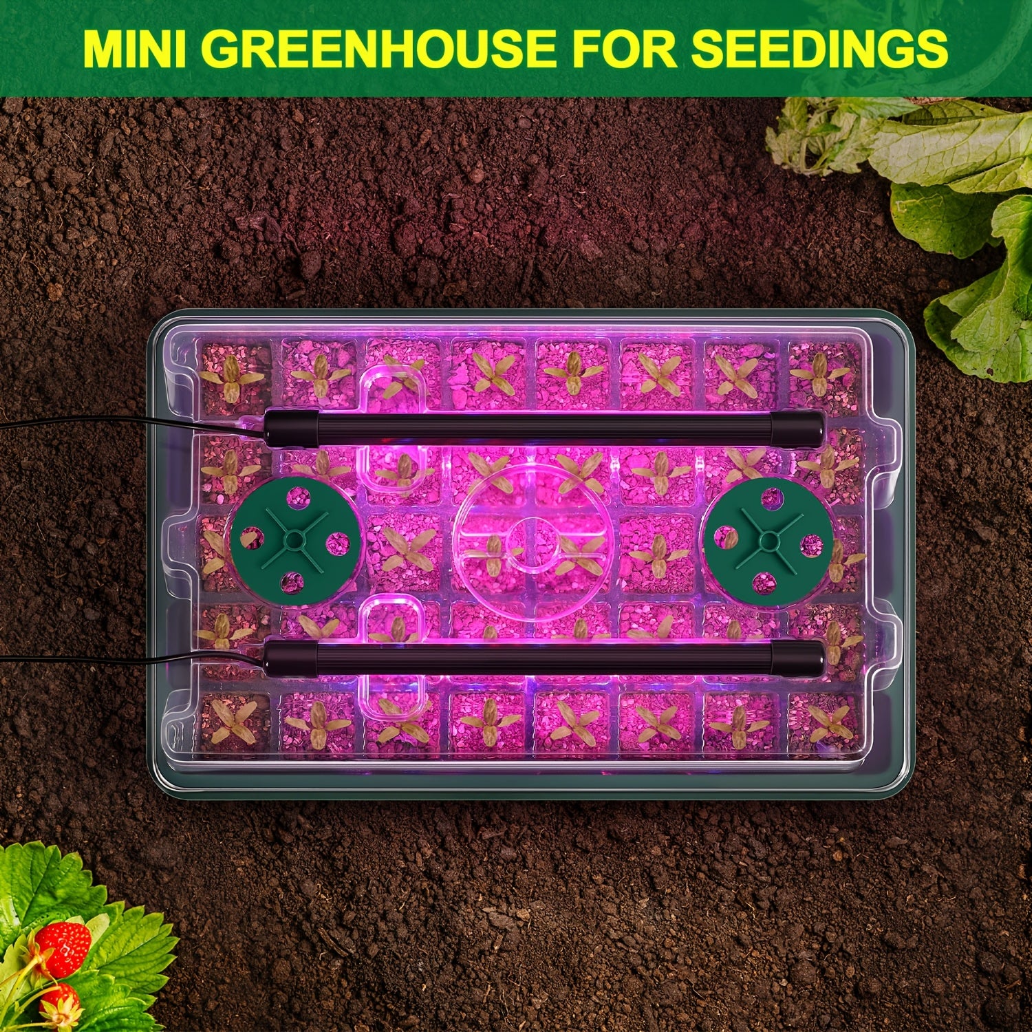2 Pcs 40-Cell Seed Starter Tray Set with Grow Light | OYEAL Mini Greenhouse, for Seed Growth Germination, USB Powered, Plastic Material