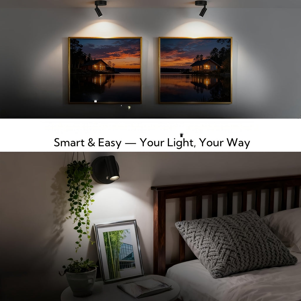 4-Pack Indoor LED Spotlight, Rechargeable Built-in Battery, Infrared Remote Control & Timer Function, 3 Color Temperature Wall Lamp, Mini Art Decor Light, Perfect for Plants, Artworks and Paintings