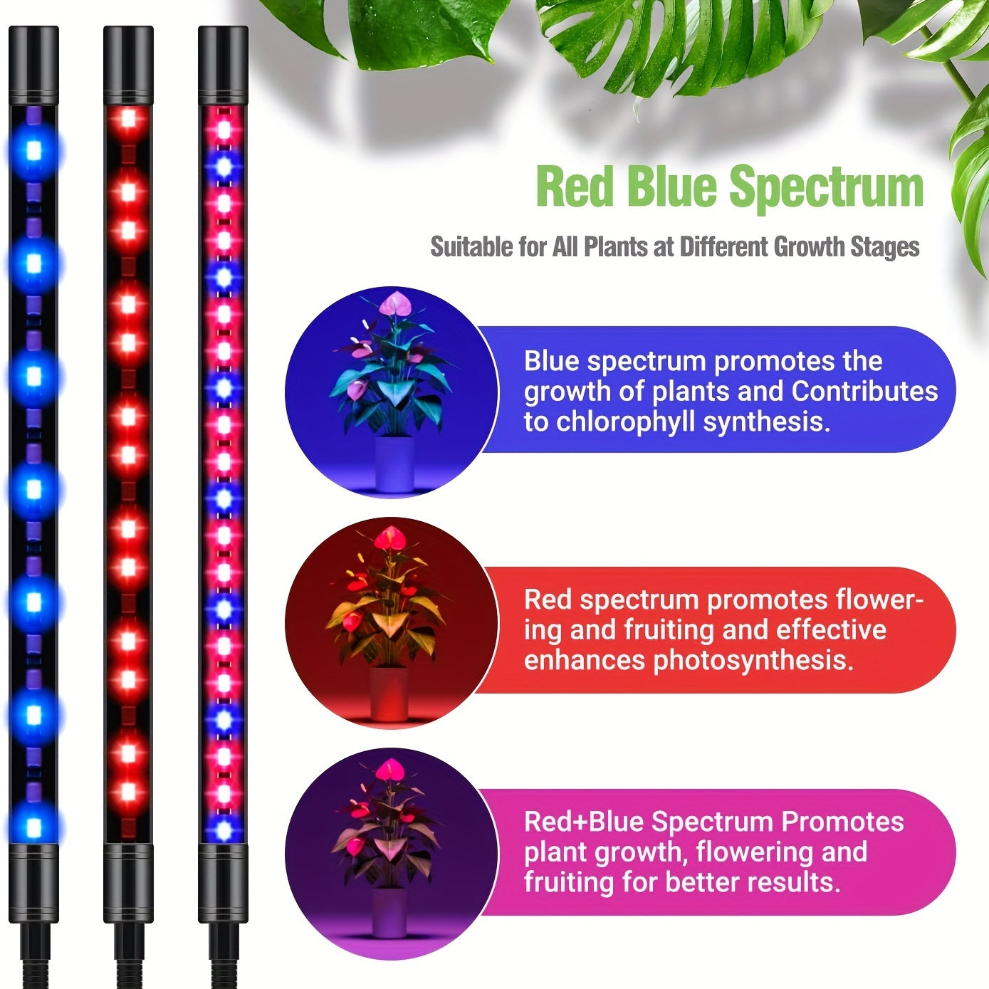 Indoor Plant Grow Light 5-Head Red Blue White Full Spectrum Grow Lamp, 29-61 Inch Adjustable Tripod Stand, Indoor Grow Light with Remote Control & Auto On/Off Timer, Wireless Remote Wired Light