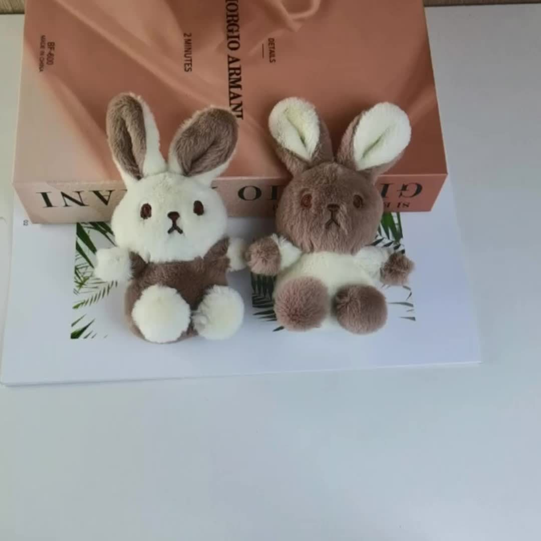 一个互动毛绒兔子狗玩具 - 耐用面料，抗咬宠物咀嚼玩具，适合清洁牙齿和玩耍，适合小型犬种