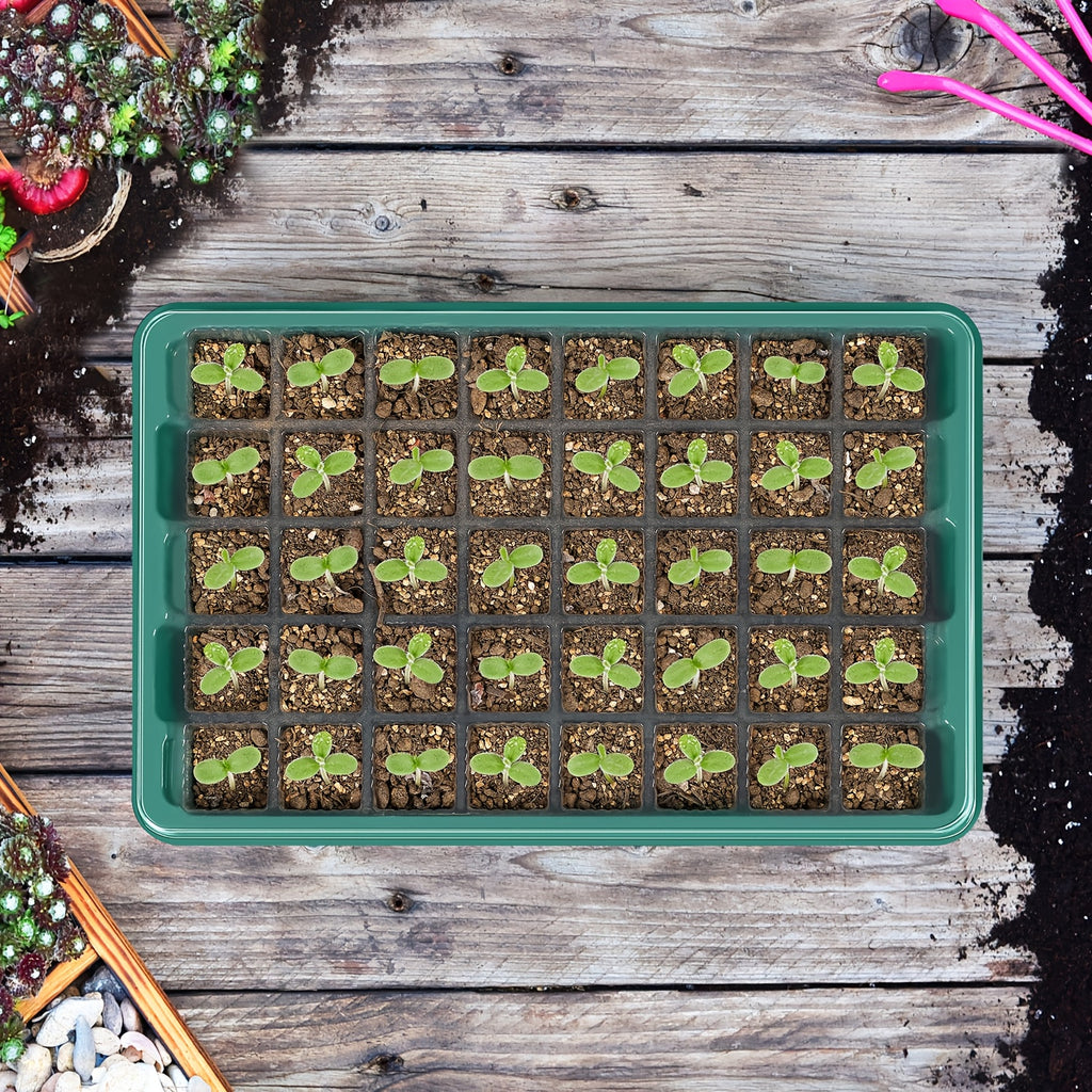 2 Pcs 40-Cell Seed Starter Tray Set with Grow Light | OYEAL Mini Greenhouse, for Seed Growth Germination, USB Powered, Plastic Material