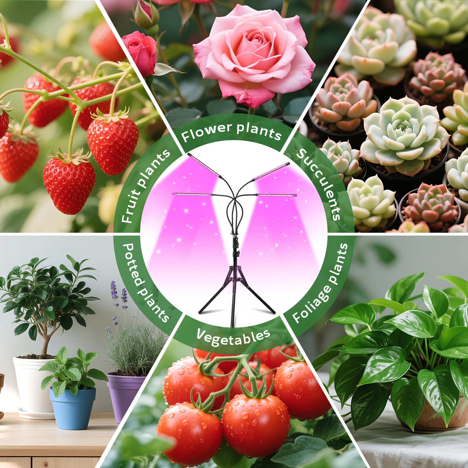 USB indoor plant grow light, 10 brightness levels, 3/9/12 hour timer, adjustable gooseneck, universal for vegetables, flowers, and green plants