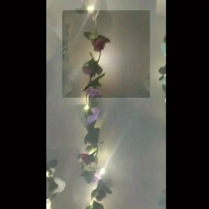 1套，迷人電池供電粉色玫瑰藤蔓燈，LED裝飾串燈（94.48英寸24顆LED），適用於節日派對、婚禮裝飾、聖誕裝飾、新年裝飾（不含電池）