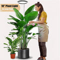 Full-Spectrum Grow Light for Large Plants, Plant Cultivation Light, Sun-Like LED Plant Grow Light, Single Pack