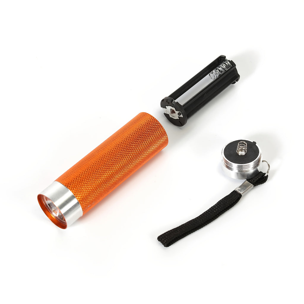 10-Piece Mini LED Flashlights, Handheld Flashlights, 10 Colors, Easy to Carry (AAA Batteries Not Included)