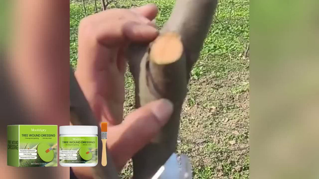 一件植物嫁接 盆景嫁接 用于嫁接果树、幼苗和木材修复 树木护理工具