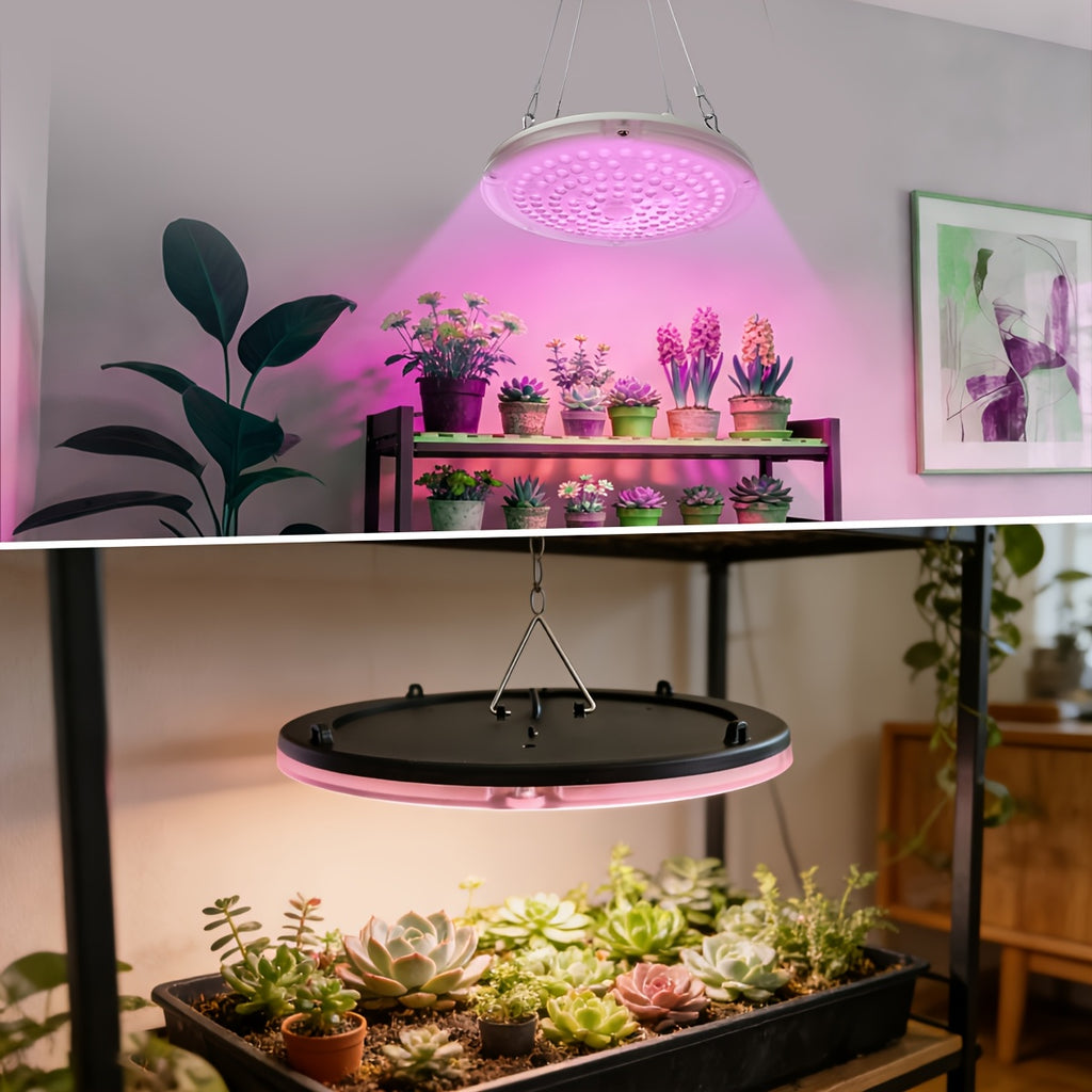 120 LED Full Spectrum Plant Grow Light, 2/4/8H Timer, 4 Dimmable Brightness Levels, 7.08 Inch Large Disc Plant Light with Hanging Chain, USB 5V Powered, Ideal for Promoting Growth of Small & Medium Indoor Plants