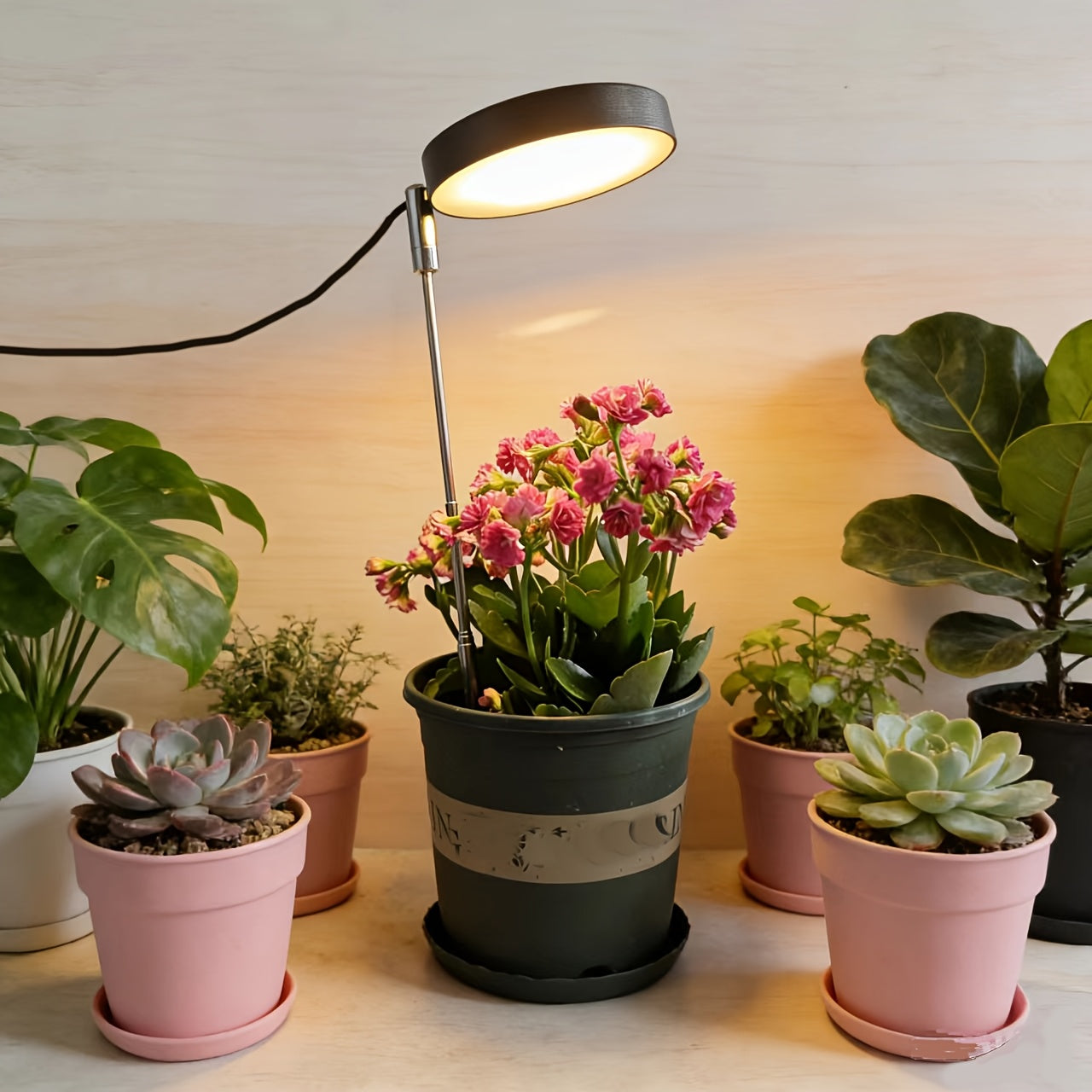 New USB Plant Grow Light, 3.74 Inch Wide Head, Height Adjustable, Multiple Lighting Modes Including Warm White and Yellow Light, Stepless Dimmable Brightness, Ideal for Potted Plants in Multiple Indoor Rooms