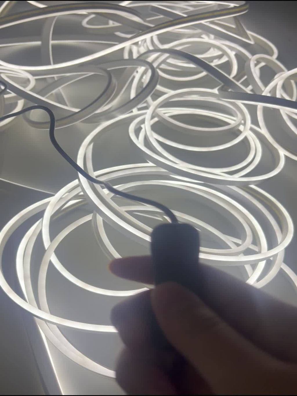 32.8英尺/10米霓虹燈帶——高品質柔性LED燈帶配電源介面卡，超亮可裁剪便攜霓虹燈，適用於室內外、臥室、泳池、聖誕及萬聖節裝飾（低電壓），聖誕裝飾