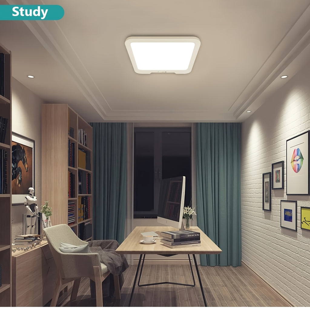 Indoor Ceiling Light, Color Adjustable Ceiling Light, Ceiling Lamp, Indoor Decorative Light