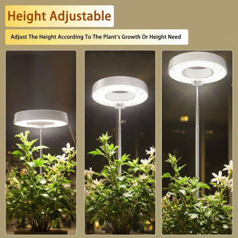 LED Plant Grow Light, Built-in 3/9/12 Hours Auto Timer and Dimmable Function, Height Adjustable. Perfect for indoor plants, herbs, vegetables and flowers in kitchen and home environments. USB Powered Adjustable Desk Lamp