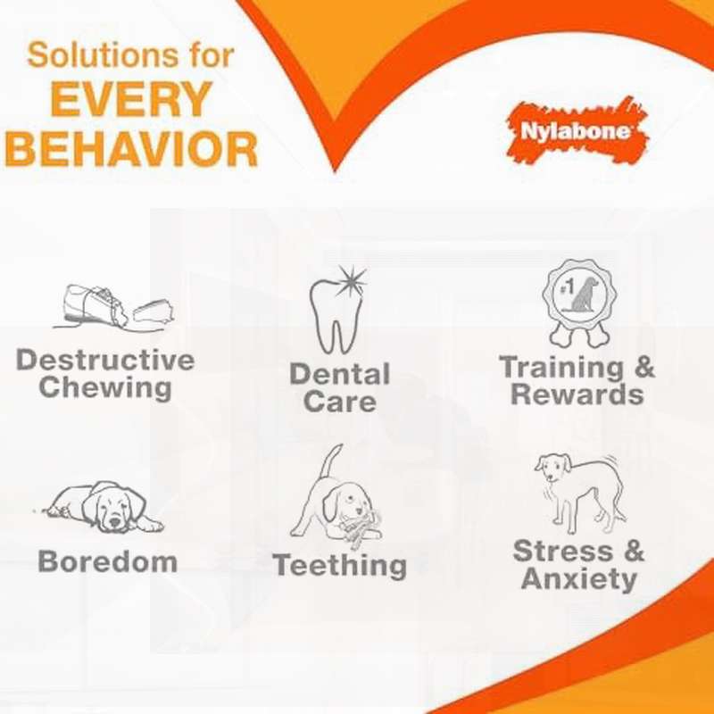 NYLABONE 牙齿健康 Flexichew 鸡肉双装，狼，单个，牙齿健康，宠物牙科护理，狼设计，双装咀嚼，宠物安全材质，耐用咀嚼，狗狗咀嚼，狗狗咀嚼棒