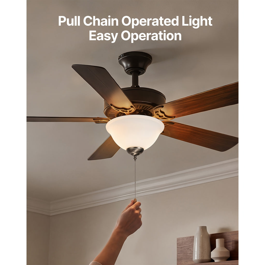 Ceiling Fan Light 1Pc Bowl Shape Pull Chain Design 750lm 110V Plug-Free S001 Available for All Stores