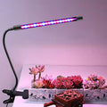 2-Head Full Spectrum LED Grow Light, USB Clip-On 5V Indoor Greenhouse Grow Lamp, Dimmable 3/9/12H Timer, Ideal for Seedlings Flowers Houseplants, Valentine's Day Gift