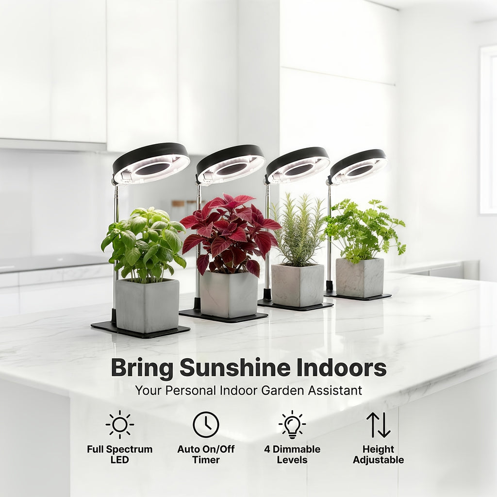 2-Pack Indoor Plant Desk Grow Light with Base, 720° Magnetic Rotatable Full Spectrum Lamp Head, Height Adjustable, 3/6/9H Timer & Dimmable, for Seedlings, Black