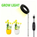 Indoor LED Plant Grow Light, Full Spectrum Ring Grow Light, 3 Colors, 10 Dimmable Levels, Auto Timer, USB Powered, Height Adjustable, Ideal for Succulents and Small Plants