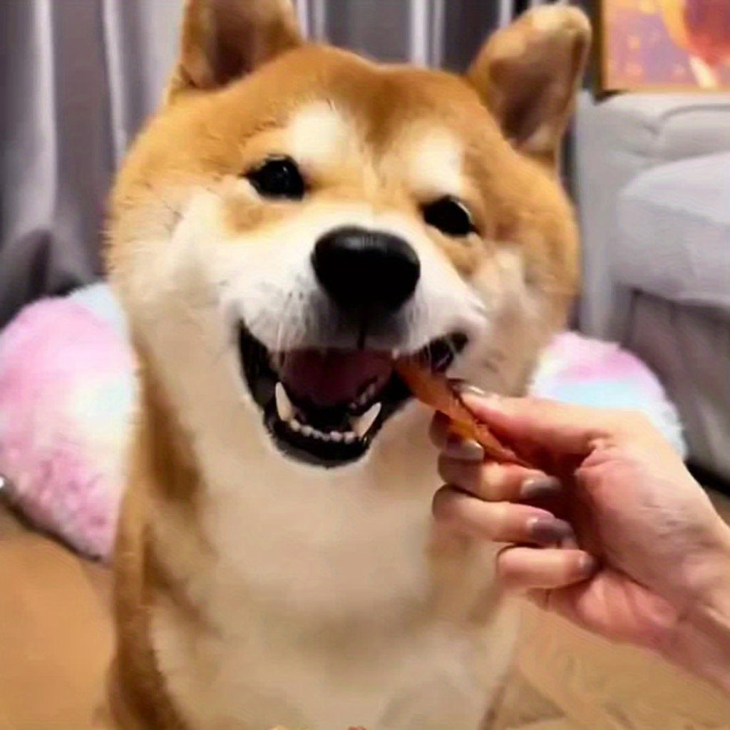 鴨肉乾+雞胃寵物零食組合包